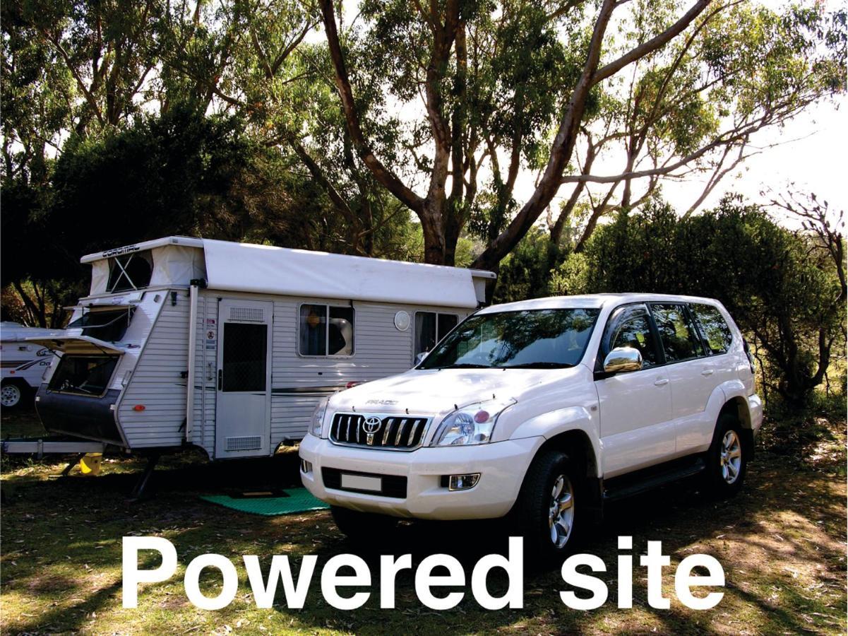 Bimbi Park - Camping Under Koalas Cape Otway Luaran gambar