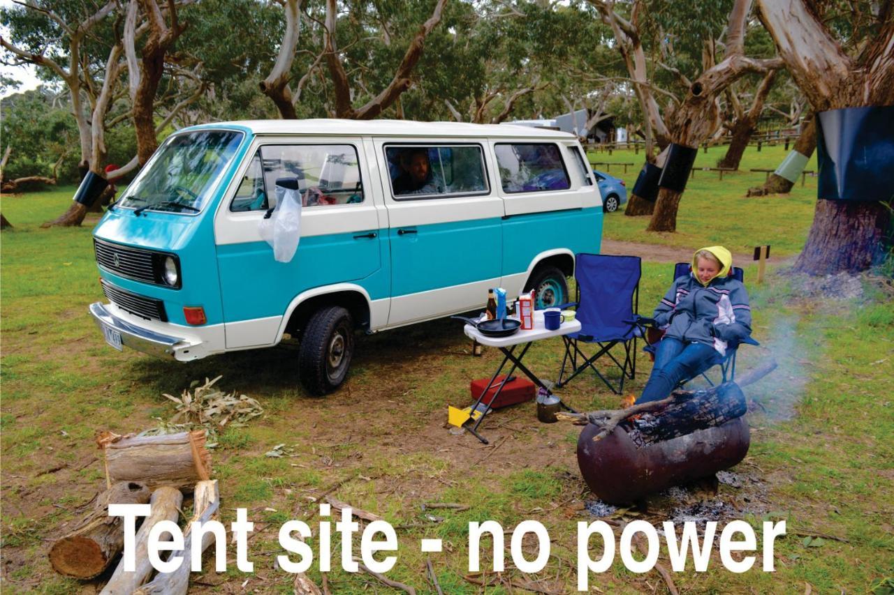 Bimbi Park - Camping Under Koalas Cape Otway Luaran gambar