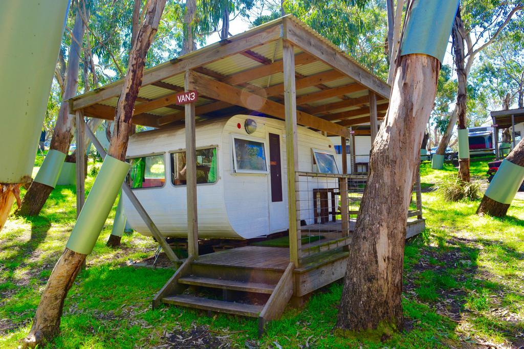 Bimbi Park - Camping Under Koalas Cape Otway Luaran gambar