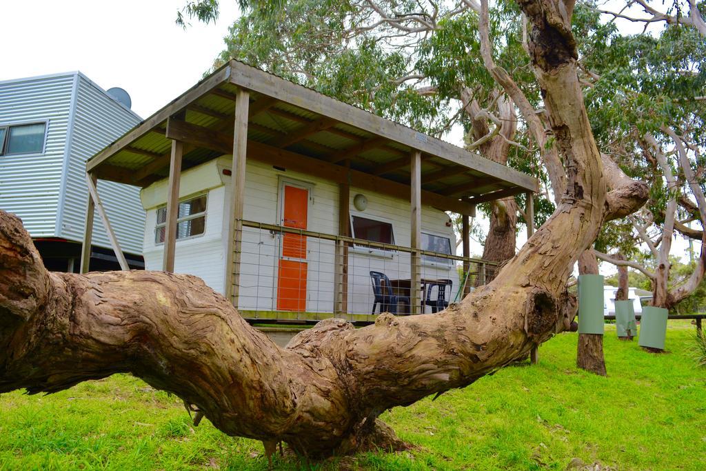 Bimbi Park - Camping Under Koalas Cape Otway Luaran gambar