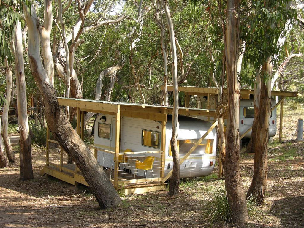 Bimbi Park - Camping Under Koalas Cape Otway Luaran gambar