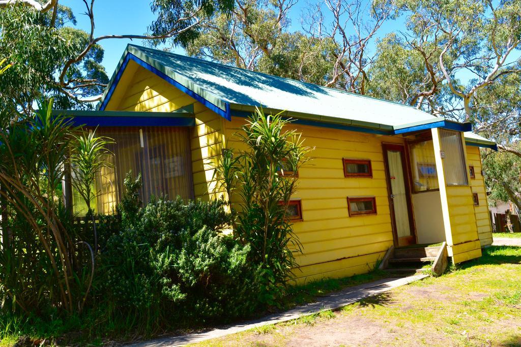 Bimbi Park - Camping Under Koalas Cape Otway Luaran gambar