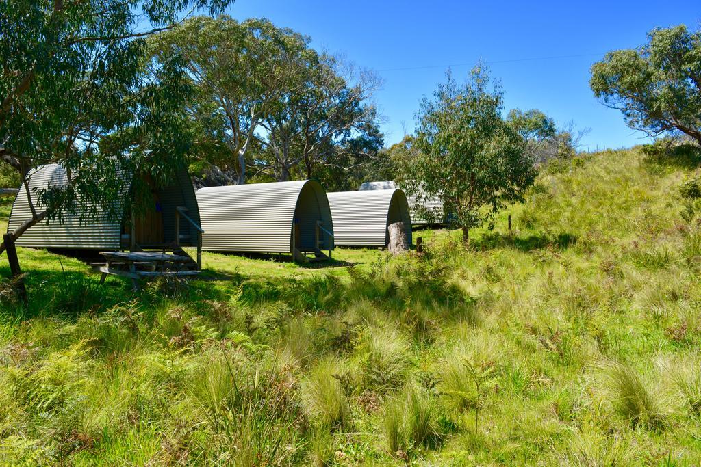 Bimbi Park - Camping Under Koalas Cape Otway Luaran gambar